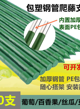 包塑钢管支架百香果植物葡萄架室外庭院架杆豆角黄瓜爬藤架番茄架