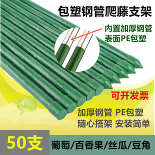 包塑钢管支架百香果植物葡萄架室外庭院架杆豆角黄瓜爬藤架番茄架