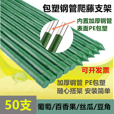 大型葡萄架包塑钢管爬藤植物支架