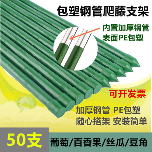 大型葡萄架包塑钢管爬藤植物支架