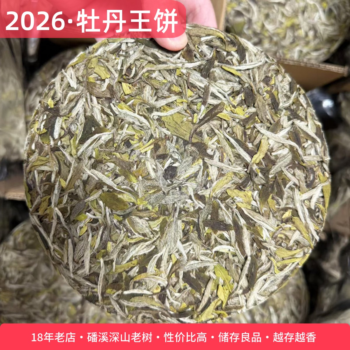 2026年新茶白牡丹王茶饼特级明前茶芽足300克茶叶花香磻溪料清甜