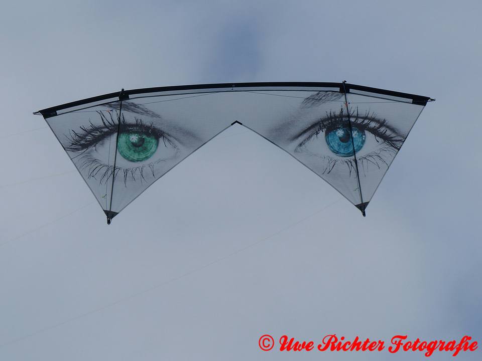 揽月高端系列印刷版四线风筝进口ICAREX P31四线眼镜风筝-眼睛