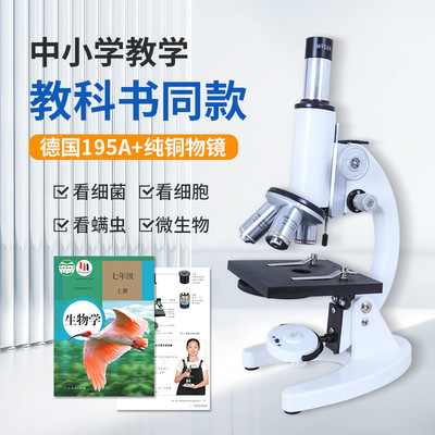 儿童手持便携式科学显微镜中小学生初中生专用可看细菌专业级玩具
