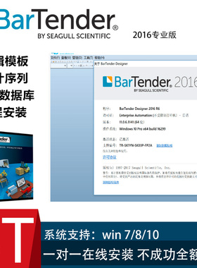 正版BarTender条码标签打印软件企业版设计标签系统2021版专业版