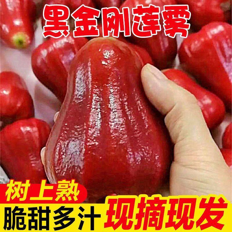 海南三亚当季正宗黑金刚莲雾新鲜现摘热带水果一整箱雾莲果仙女果,水产肉类/新鲜蔬果/熟食,莲雾,淘宝优惠券,粉丝福利购,淘宝优惠卷