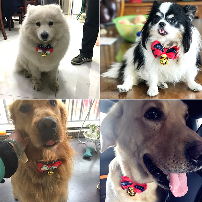 金毛狗狗铃铛大型犬项圈宠物蝴蝶结狗项链脖子饰品装饰带领结结婚