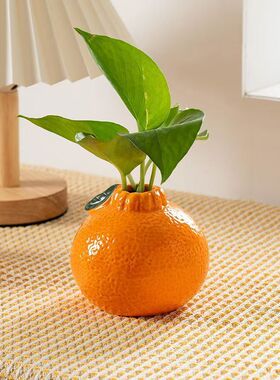 创意网红橘子陶瓷花瓶水养绿萝水培花瓶桌面办公室装饰摆件