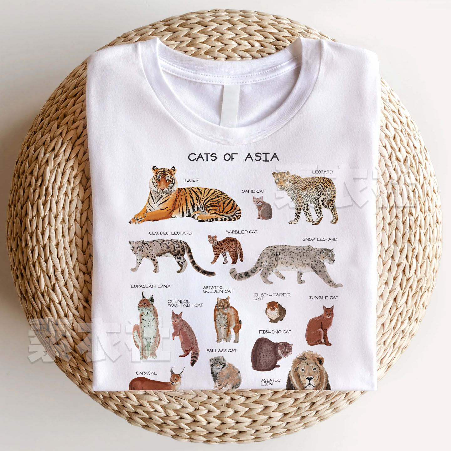 亚洲猫科动物周边cats of asia生物学老虎狮子雪豹猎豹T恤纯棉