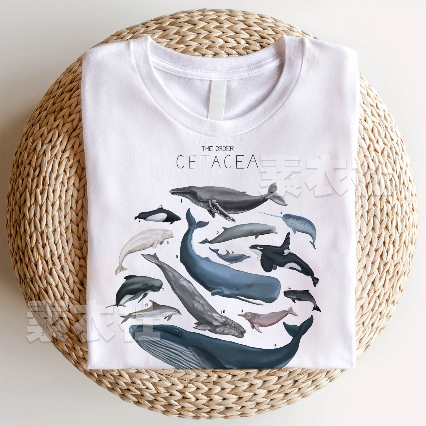 鲸目生物学周边CETACEAT恤纯棉图片