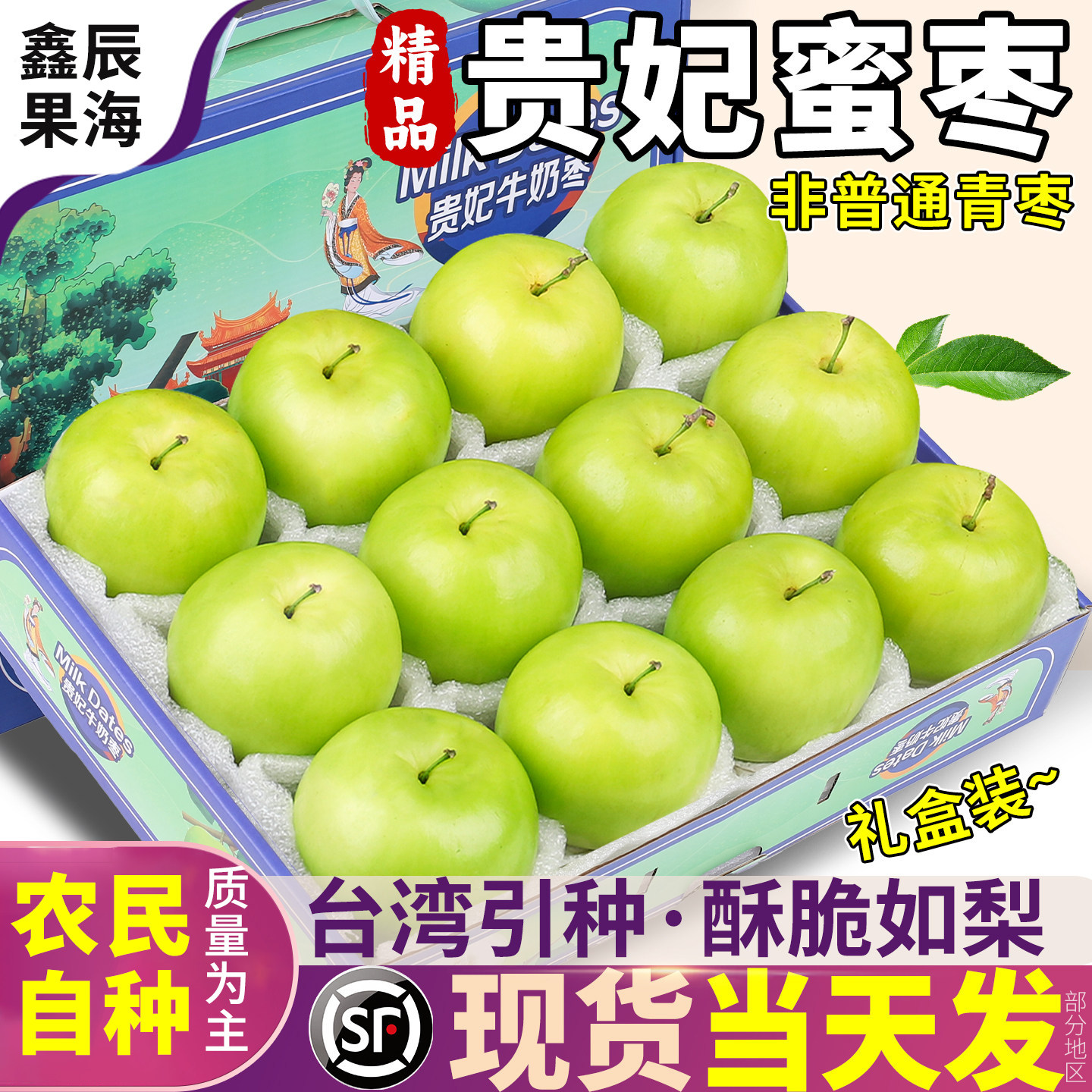 台湾福建贵妃枣牛奶大青枣当季新鲜水果现摘苹果大枣脆枣西双版纳