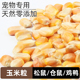 松鼠飞鼠花枝鼠土拨鼠仓鼠食物饲料零食干玉米粒苞谷生坚果主粗粮