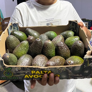 秘鲁即食牛油果 原箱批发全熟透 餐饮专用熟果即食沙拉餐食原料
