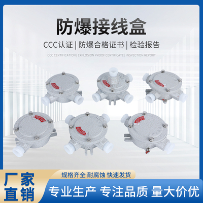 防爆接线盒穿线盒DN20