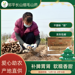 山东邹平长山细毛新鲜面山药净重9斤礼盒1箱济南发货顺丰京东直达