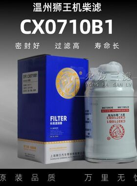CX0710B1 231-1105020燃油/柴油滤清器YCX-6312 FS19544 CX0710B3