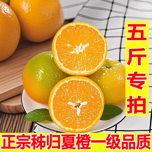 顺丰100%现摘秭归伦晚橙爆汁纯甜