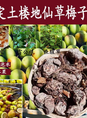 永定土楼农家特产酸梅干