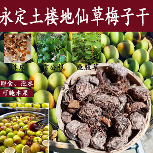 永定土楼农家特产酸梅干咸梅干超酸野生杨梅干孕妇零食泡水腌水果