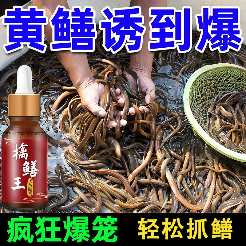 诱黄鳝神器【鳝爆笼】黄鳝诱食剂户外诱鳝鱼饵料野生鳝王爆笼药水