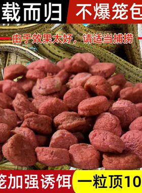 爆笼王蚯蚓羊油颗粒虾笼捕鱼网笼黄鳝诱饵龙虾河虾泥鳅饵料大颗粒