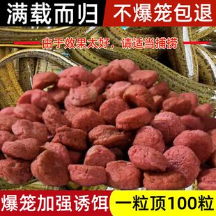 爆笼王蚯蚓羊油颗粒虾笼捕鱼网笼黄鳝诱饵龙虾河虾泥鳅饵料大颗粒