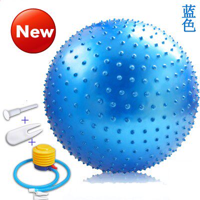 巴氏球大龙球康复训练器材平衡儿童多感训练按摩瑜伽锻炼球