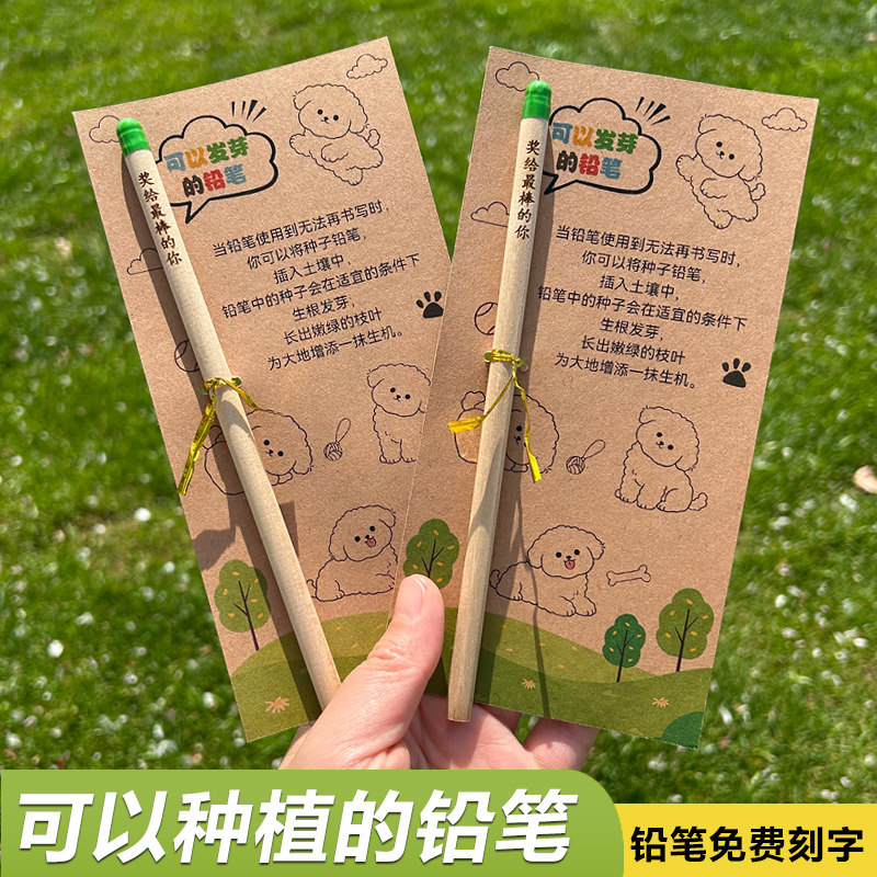可以种植物的笔班级定制礼品刻名字种子笔印LOGO萌芽铅笔单支包装