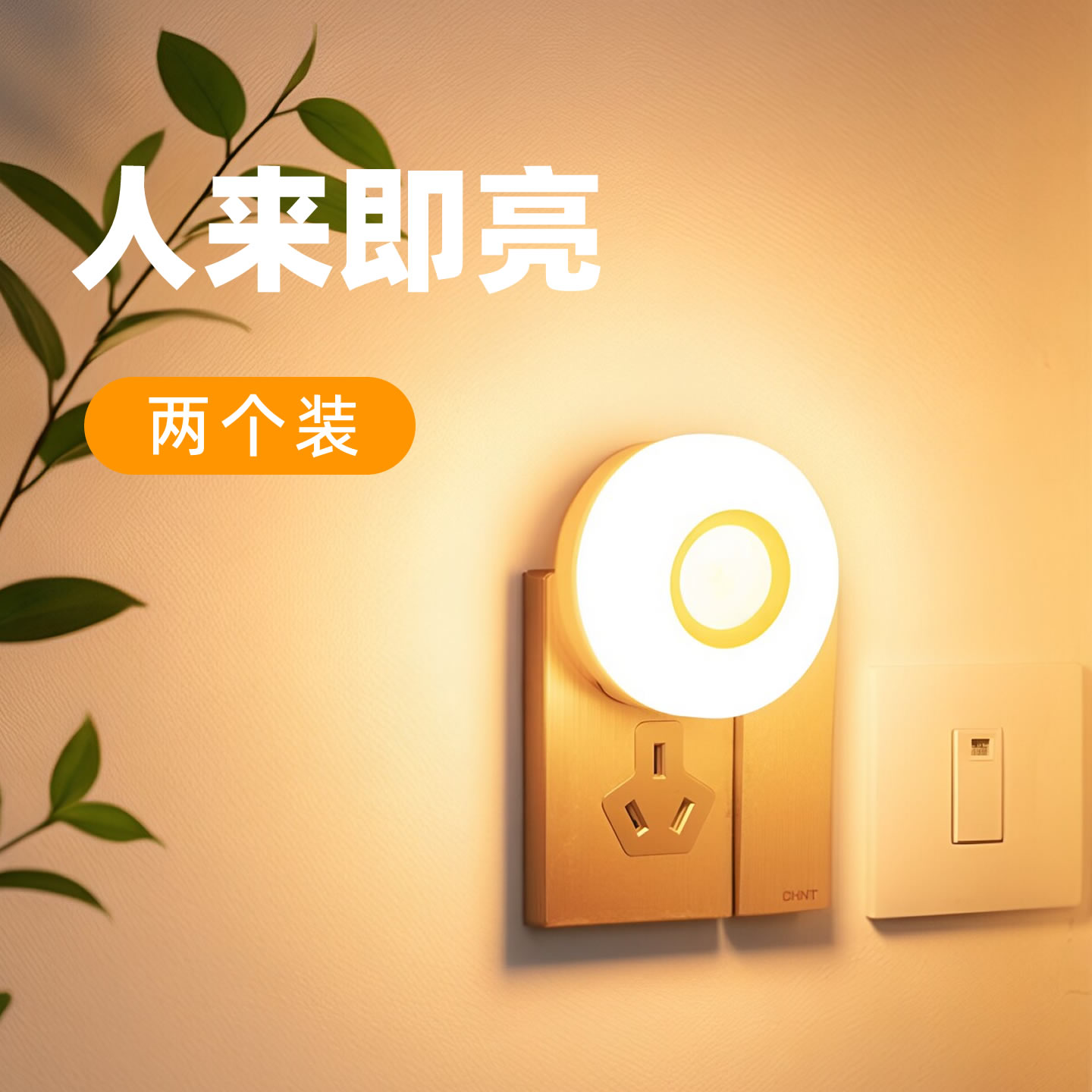 两个装2W超亮人体感应小夜灯