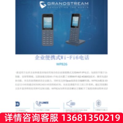 明川欣业DINSTAR潮流网络IP电话机 手持WiFi彩屏电话WP816  WP826