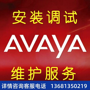IPO Office 维护服务 S8300系统安装 调试 S8800 Avaya