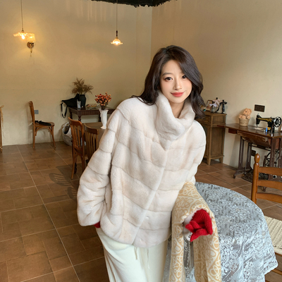 进口紫标天鹅绒横排立翻领水貂