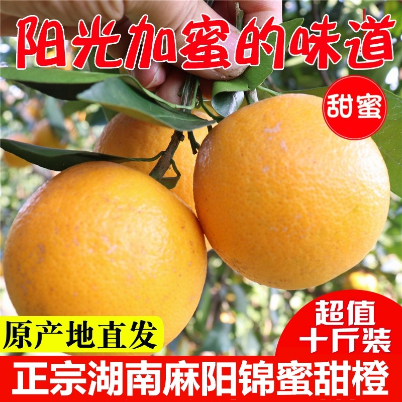 礼盒湖南麻阳冰糖斤现甜薄皮橙子