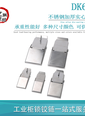 DK607-A-2A-3-3A 不锈钢搭扣锁 开关控制配电器机箱柜门锁扣
