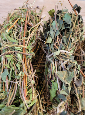 江西野生农家自采忍冬藤宝宝洗澡煮泡脚水用自然晒干金银花藤