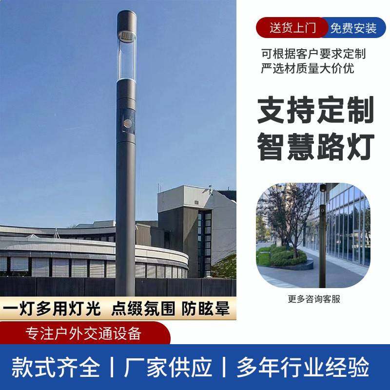 青岛厂家生产简捷多功能庭院广场公园LED智慧庭院景观路灯圆铝灯