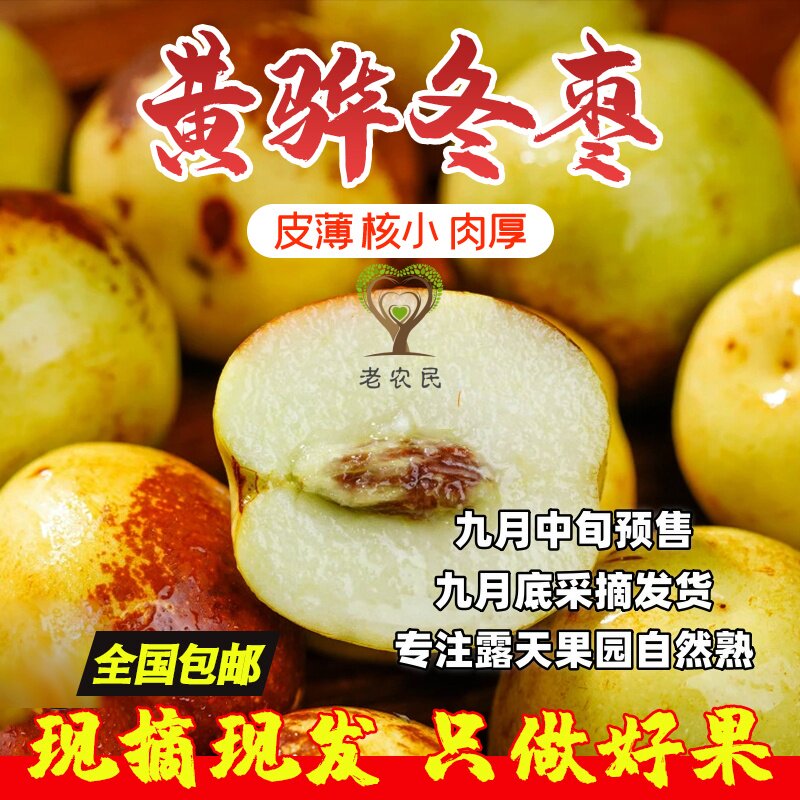 河北黄骅冬枣新鲜5斤整箱特级大果时令水果现摘现发脆甜多汁贡枣