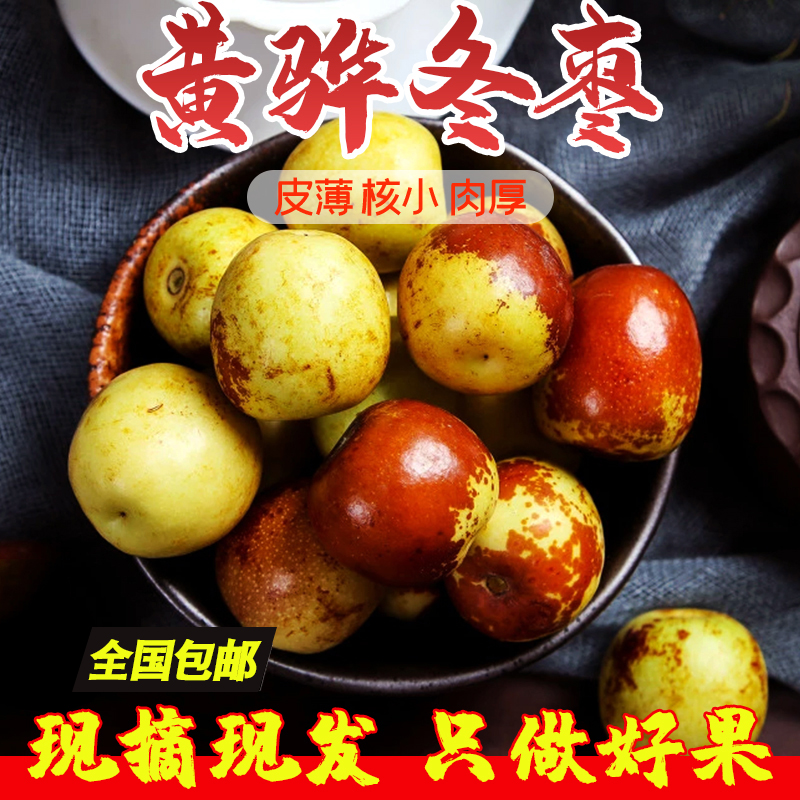 黄骅鲜冬枣3斤装大果河北沧州特产脆甜当季东枣贡枣农产品包邮
