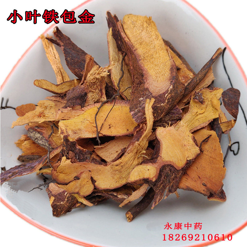 野生中草药 老鼠耳 小叶铁包金 乌龙根 勾儿茶 老鼠草 小叶纯树根