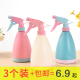 家用浇花小喷壶园艺洒水壶气压式 喷雾器小型压力浇水喷雾瓶三个装
