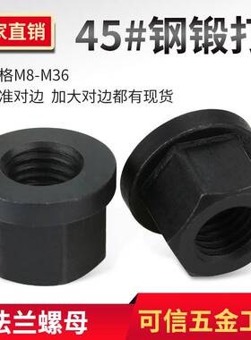 法兰垫螺帽带垫1螺母M0M12M14M16M18M20M22M带24-M30压板螺母