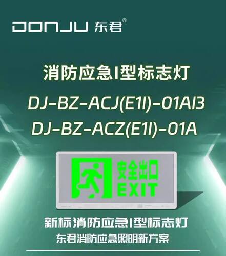 东君集中电源A型应急照明灯 DC36V应急指示牌不锈钢超薄标志灯