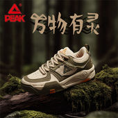 运动休闲鞋 匹克国创态极板鞋 子 男鞋 低帮男士 男 万物有灵新款