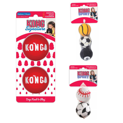 Kong狗玩具球巡回训练解闷互动