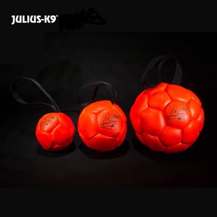 Julius k9狗狗训练球宠物互动玩具磨牙皮足球啃咬棒户外巡回拔河