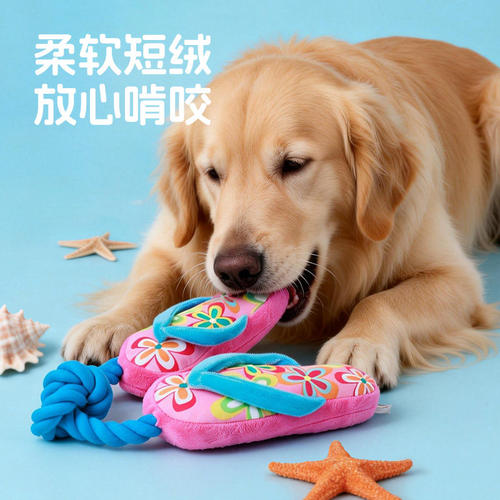 afp狗狗滑板鞋拖鞋磨牙绳结玩具