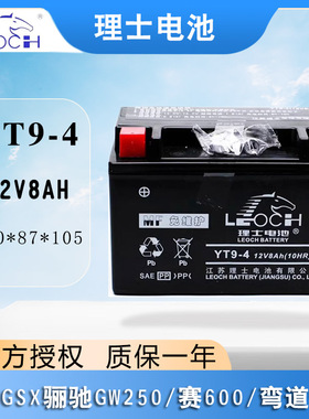 理士蓄电池YT9-4铃木GSX250/GW250DL250黄龙赛600摩托车电瓶12V