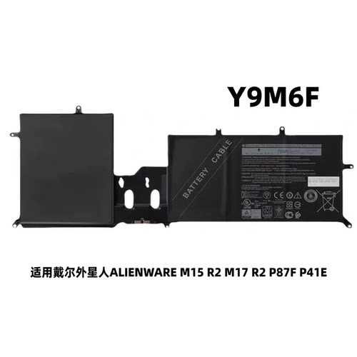 Y9M6FM15M17R2P87FP41E电池