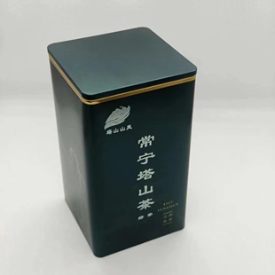 2025正宗常宁塔山茶明前绿茶云雾茶高山炒青125克罐装拍2送手提袋