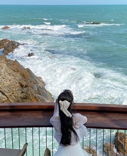 ALICE高端定制发饰 布艺胸针小香风发箍蝴蝶头绳头饰发夹顶夹边夹