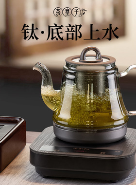 纯钛电热烧水煮茶全自动底部上水